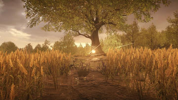 A view in the game of wheat field and large tree, with a strange orb of light hovering before the tree, all with a warm yellow late summer glow.